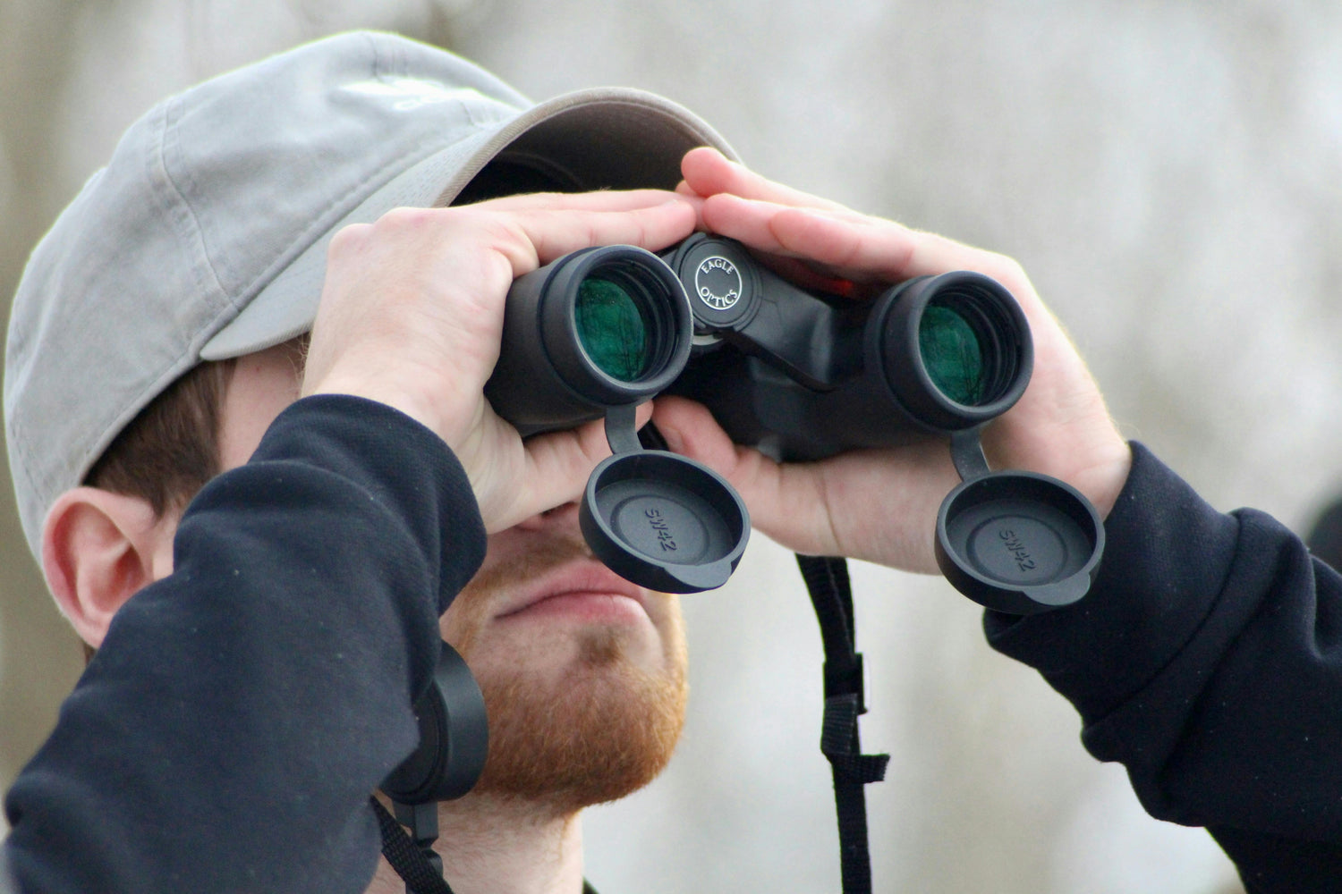 Bird Watching