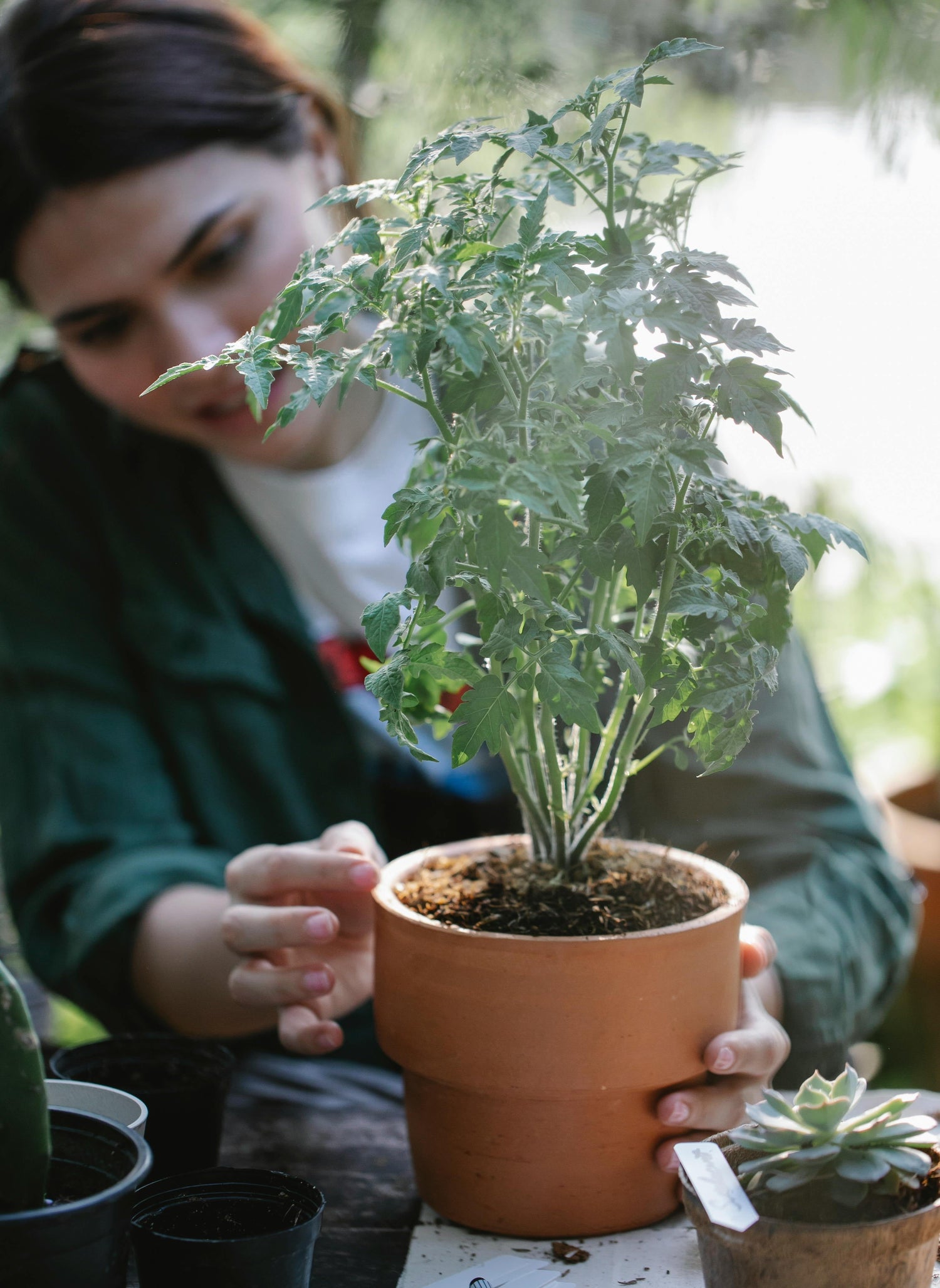 Gardening & Picnicking