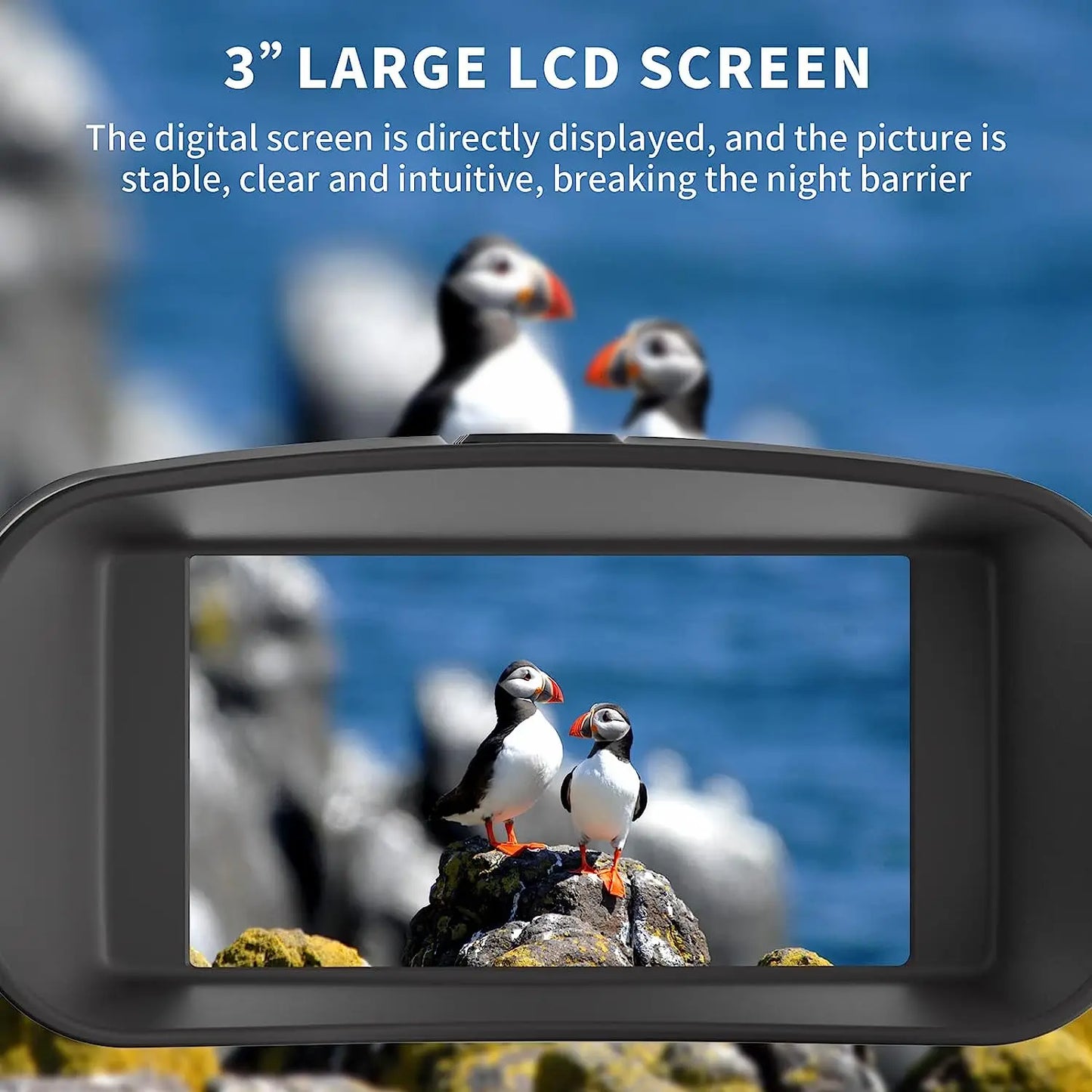 Night Vision Binoculars 4K with 3'' Display and Rechargeable Battery